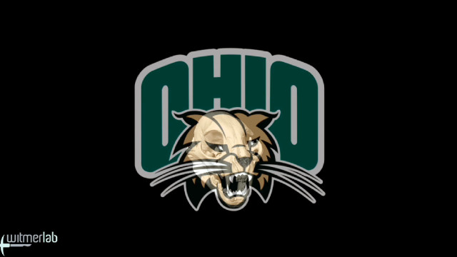 Ohio university football team logo free wallpaper for desktop - medium preview image