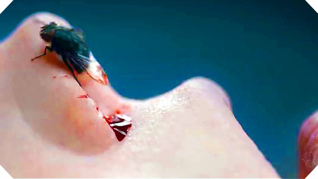 Insect finger blood blue transgressive free wallpaper for desktop - medium preview image