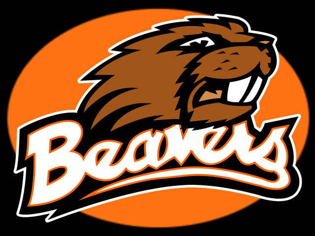 Beaver logo beavers face lion free wallpaper for desktop - medium preview image