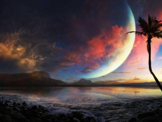 Sunset palm tree mountain background free wallpaper for desktop - medium preview image