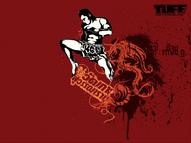 Man kickbox kick red background free wallpaper for desktop - medium preview image