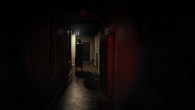 Person dark hallway light cat free wallpaper for desktop - medium preview image