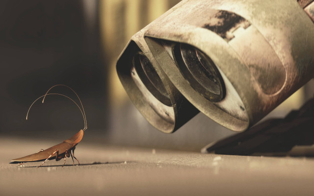 Small insect soda can opener #2 free wallpaper for desktop - medium preview image