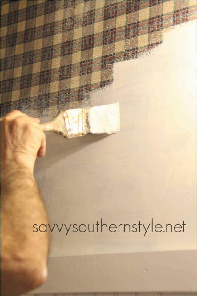 Man painting wall plaid roller free wallpaper for mobile - medium preview image