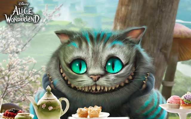 Cat green eyes tea cakes free wallpaper for desktop - medium preview image