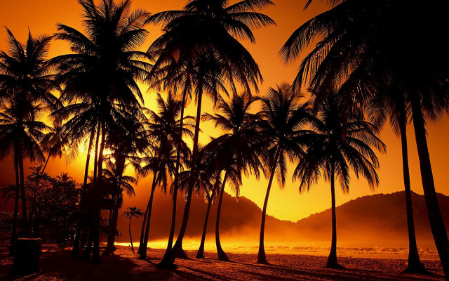 Sunset palm trees bench beach #2 free wallpaper for desktop - medium preview image
