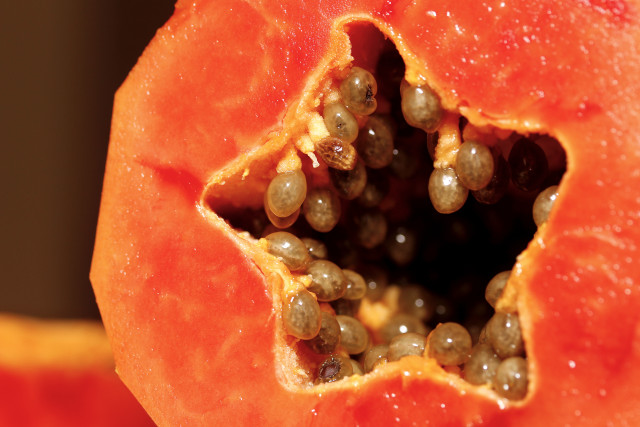 Papaya closeup seeds center fruit free wallpaper for desktop - medium preview image