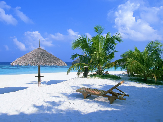 Beach bench thatched umbrella palm free wallpaper for desktop - medium preview image