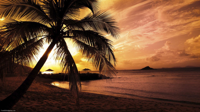 Palm tree beach sunset island #2 free wallpaper for desktop - medium preview image