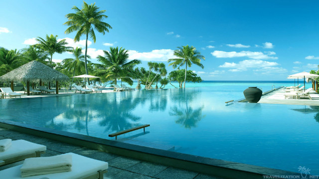 Large pool ocean view palm free wallpaper for desktop - medium preview image