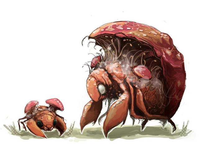 Drawing bug crawling grass mushroom free wallpaper for desktop - medium preview image