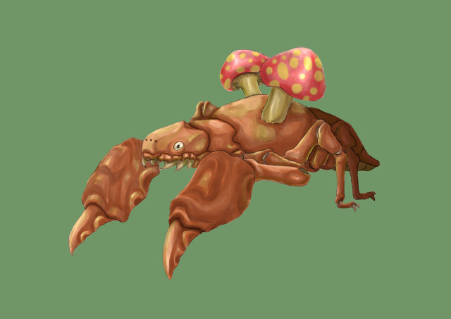 Cartoon crab mushroom back funny free wallpaper for desktop - medium preview image