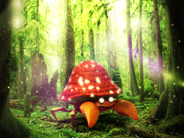 Mushroom lights woods trees grass free wallpaper for desktop - medium preview image