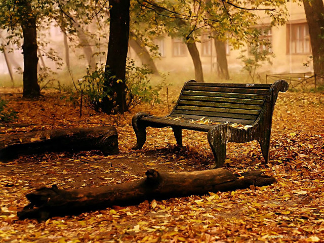 Bench forest leaves fallen leaves free wallpaper for desktop - medium preview image