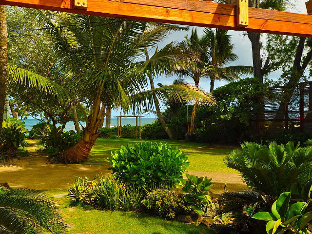 Wooden walkway tropical garden beach free wallpaper for desktop - medium preview image