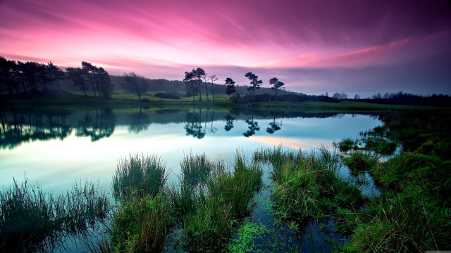 Pink sky lake trees grass free wallpaper for desktop - medium preview image