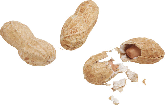 Peanut broken half white background free wallpaper for desktop - medium preview image
