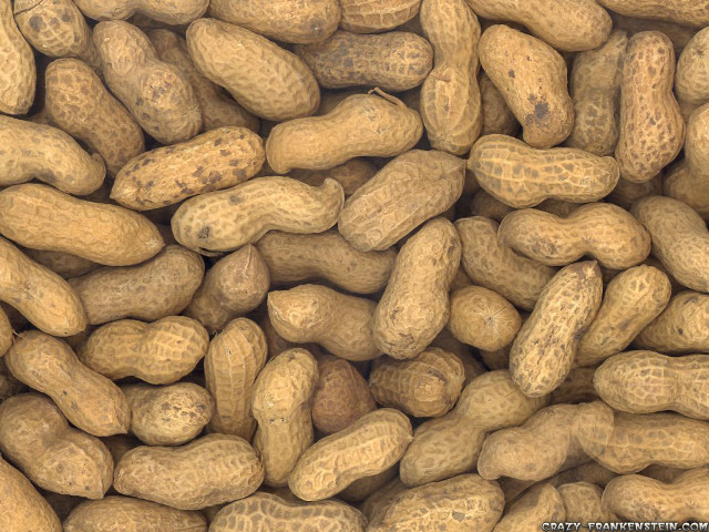 Peanuts pile shells inside snack free wallpaper for desktop - medium preview image