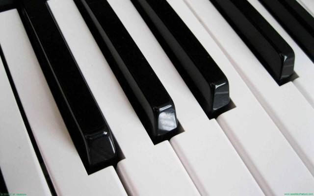 Piano keyboard closeup black white #5 free wallpaper for desktop - medium preview image