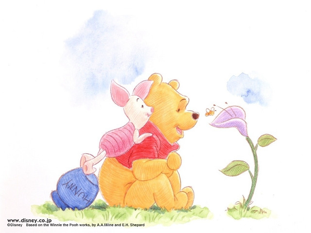 Pig bear sitting ground flower free wallpaper for desktop - medium preview image