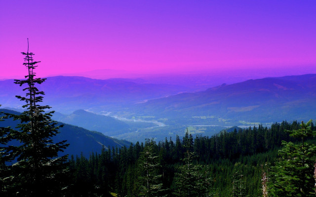 Mountain range purple sky tree free wallpaper for desktop - medium preview image