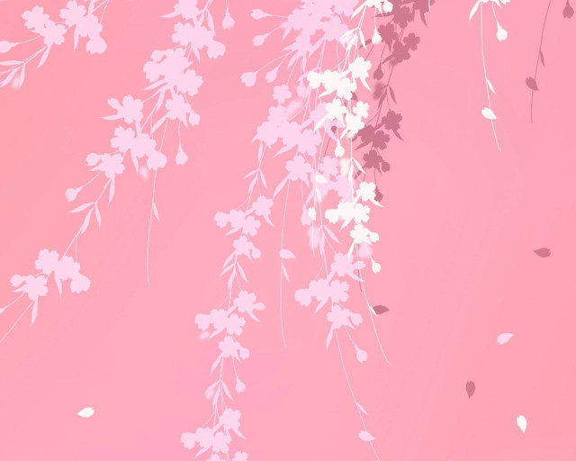 Pink background white flowers leaves free wallpaper for desktop - medium preview image