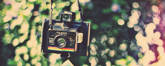 Camera tree rainbow light blurry free wallpaper for desktop - medium preview image