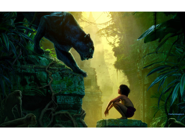 Young boy rock jungle black free wallpaper for desktop - medium preview image