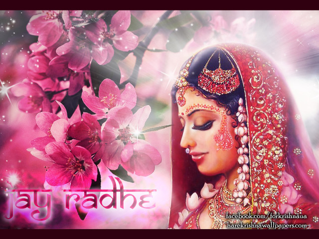 Beautiful woman red dress pink free wallpaper for desktop - medium preview image