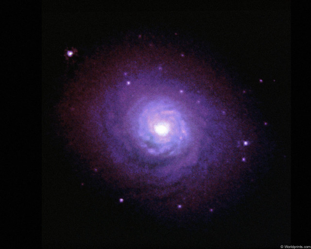 Purple spiral object dark sky free wallpaper for desktop - medium preview image