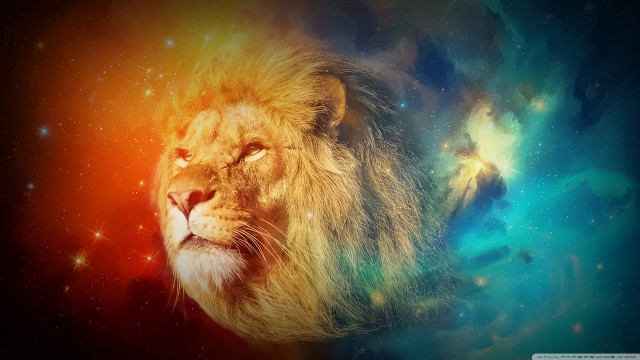 Lion colorful background stars sky #2 free wallpaper for desktop - medium preview image