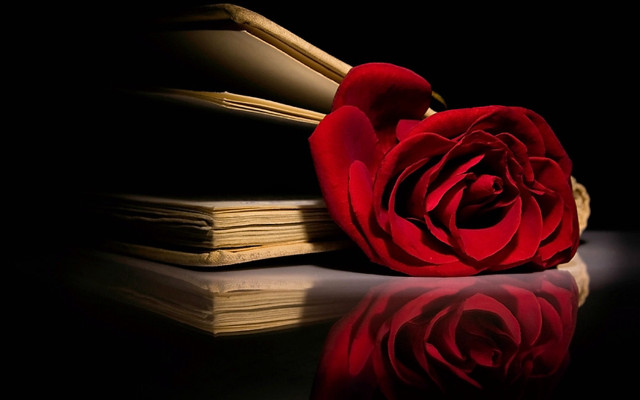 Red rose book table mirror free wallpaper for desktop - medium preview image
