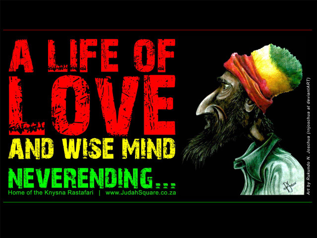 Bird hat love wise mind free wallpaper for desktop - medium preview image