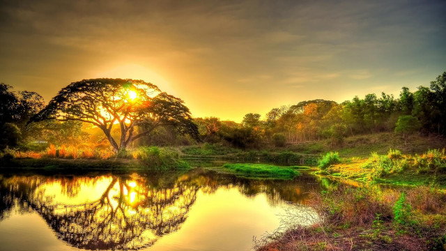 Sunset lake trees grass foreground free wallpaper for desktop - medium preview image