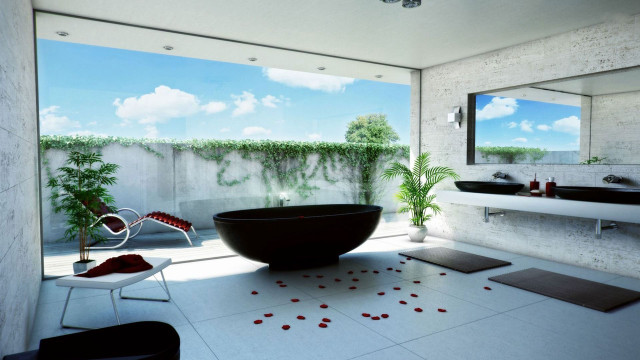 Bathroom black tub mirror plant free wallpaper for desktop - medium preview image