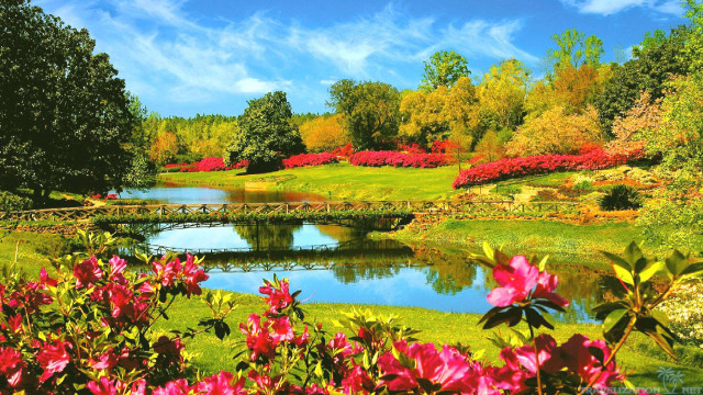 Pond bridge park flowers trees free wallpaper for desktop - medium preview image