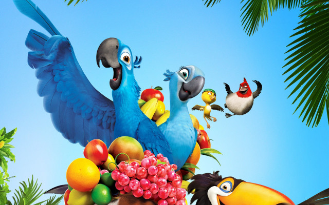 Birds fruit pile palm tree free wallpaper for desktop - medium preview image