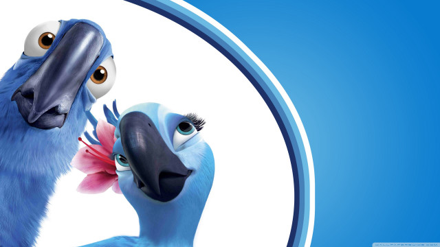 Birds couple blue background white free wallpaper for desktop - medium preview image