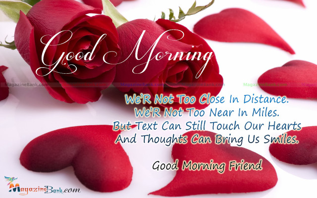 Red rose good morning message free wallpaper for desktop - medium preview image