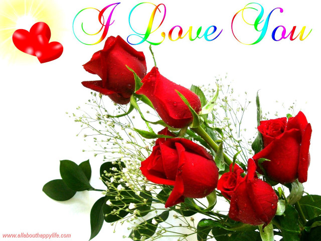 Red roses rainbow heart love free wallpaper for desktop - medium preview image