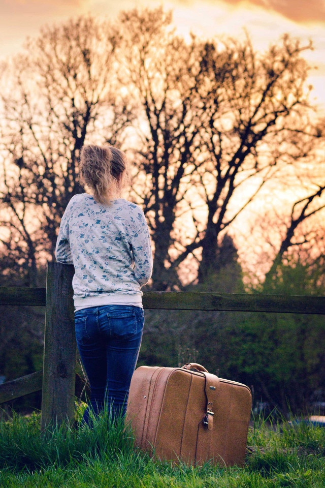 Woman fence suitcase tree background free wallpaper for mobile - medium preview image