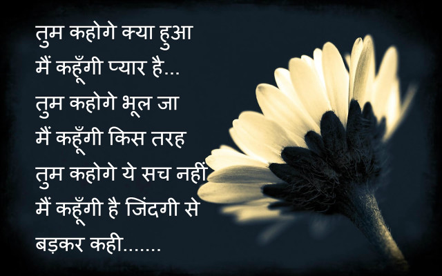 Flower quote in the middle free wallpaper for desktop - medium preview image