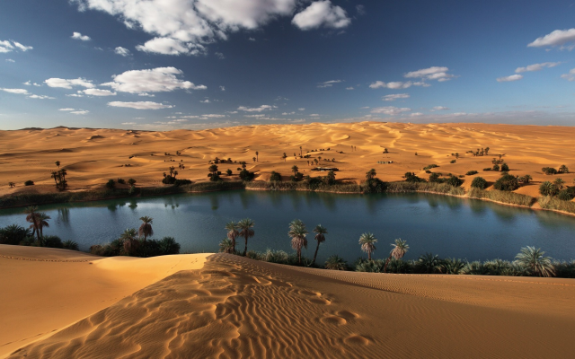 Lake sand dunes palm trees free wallpaper for desktop - medium preview image
