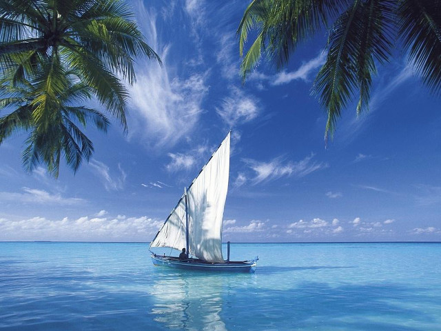 Sailboat ocean palm trees blue #2 free wallpaper for desktop - medium preview image