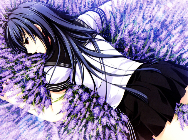 Girl laying field flowers arms free wallpaper for desktop - medium preview image