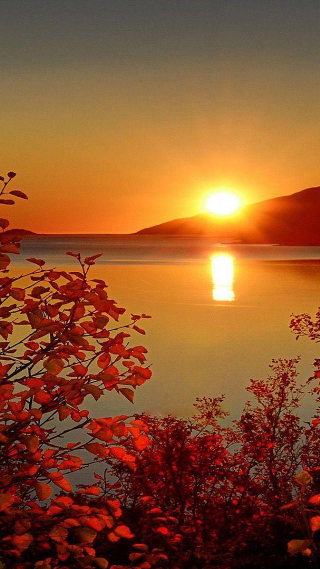 Sunset lake boat trees foreground free wallpaper for mobile - medium preview image