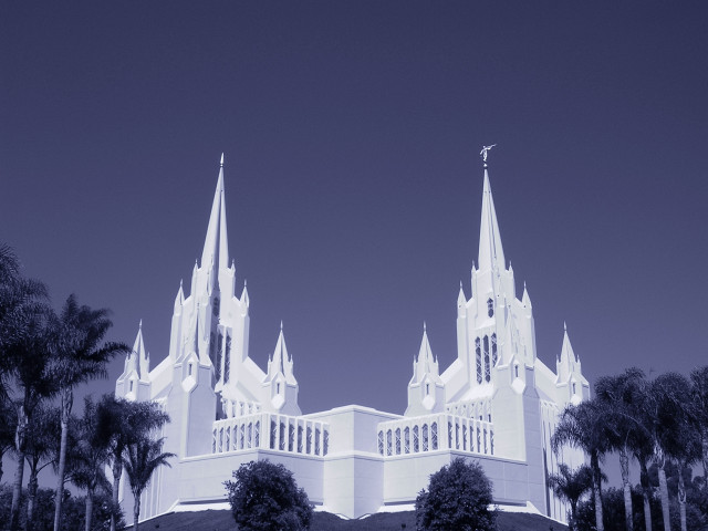 Church steeple palm trees night free wallpaper for desktop - medium preview image