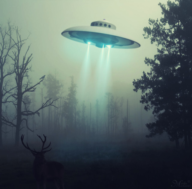 Flying object sky forest deer free wallpaper for tablet - medium preview image