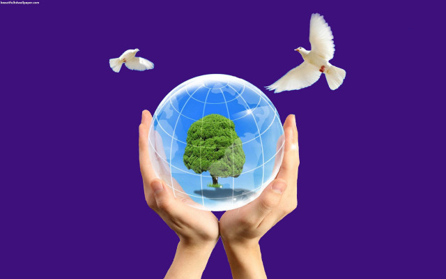 Person holding globe tree birds free wallpaper for desktop - medium preview image