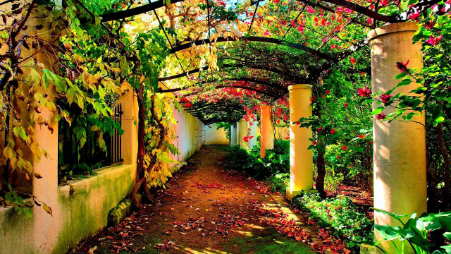 Pathway trees flowers building greenroof free wallpaper for desktop - medium preview image